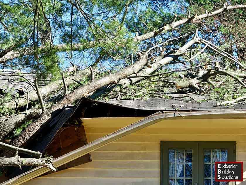 How to Treat Roofing Dry Rot