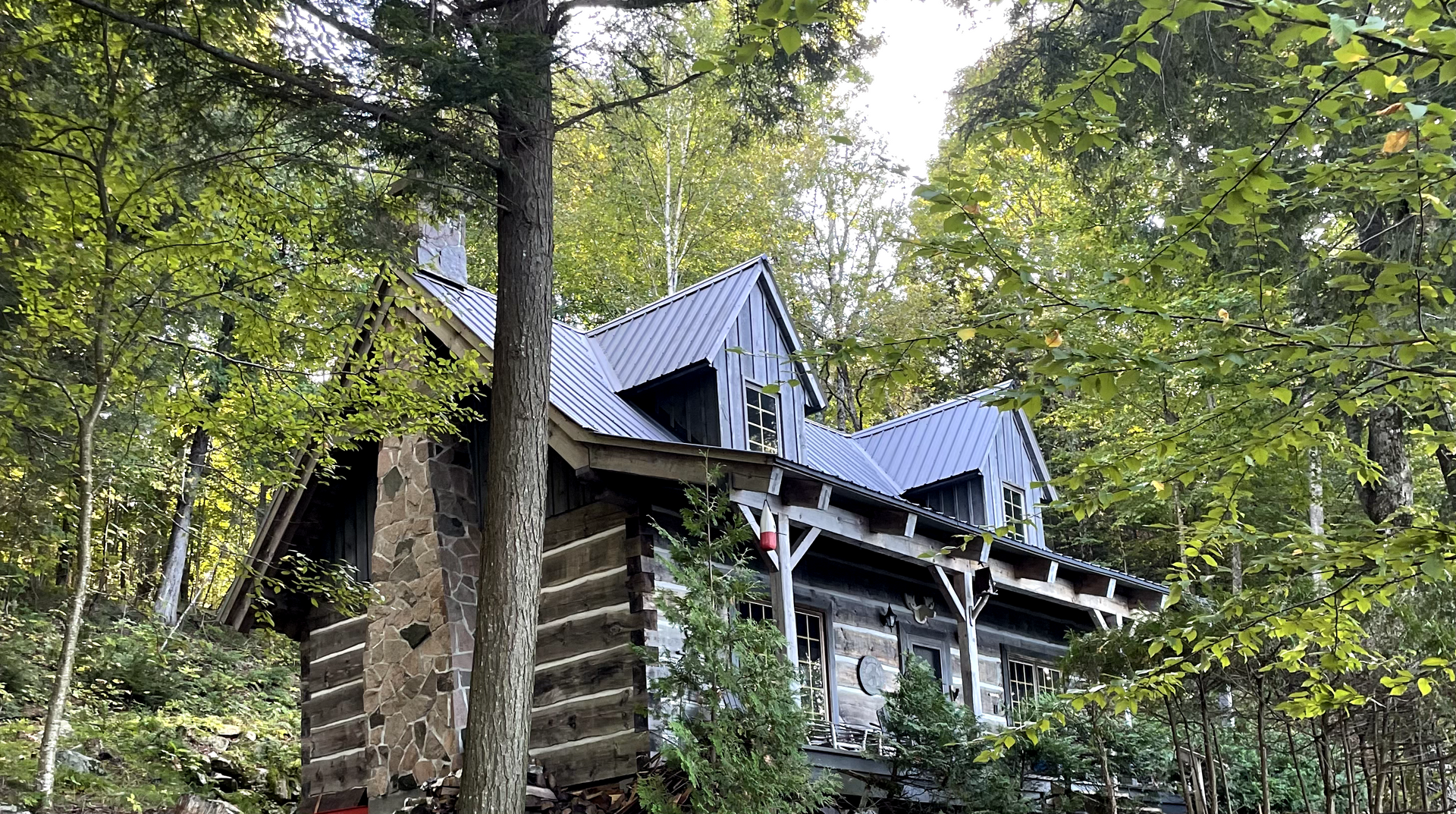 A log cabin in the middle of a forest surrounded by trees.