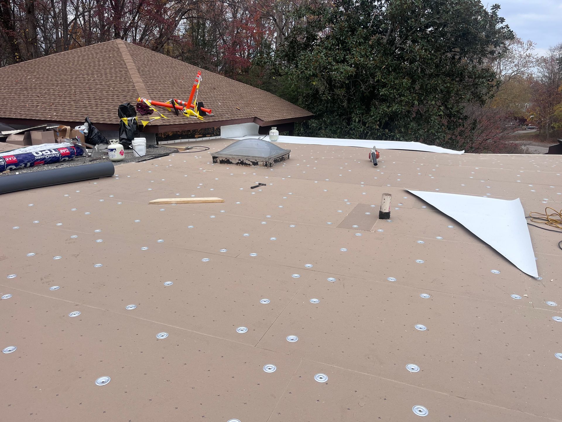 Tan roof with white fasteners, a thatched roof structure, and surrounding trees.