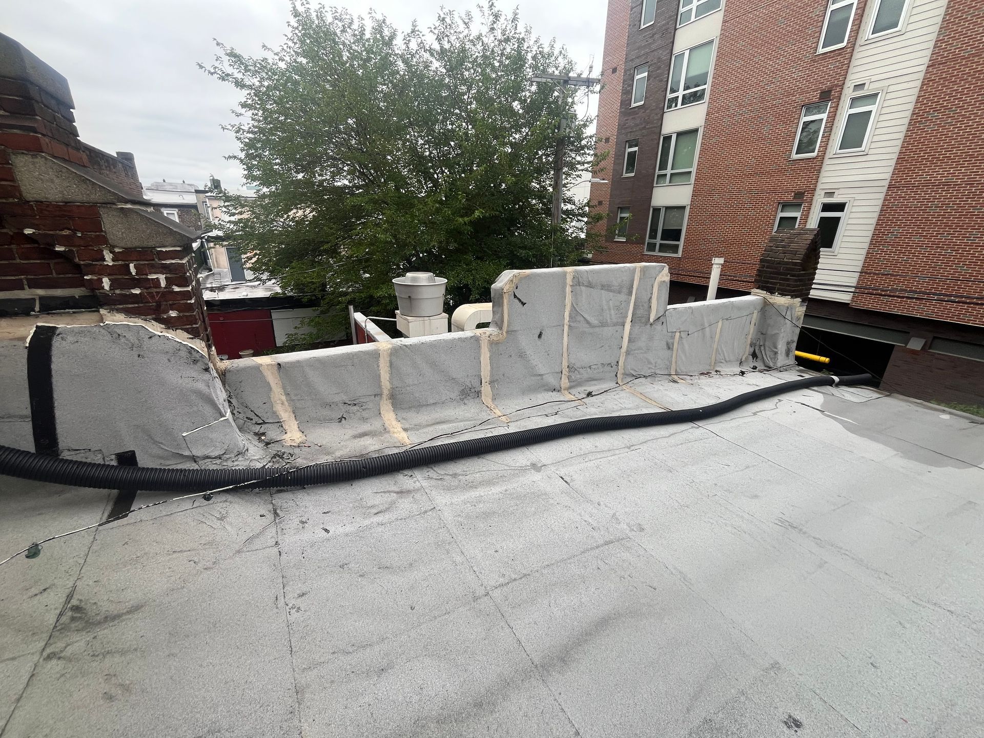View of a flat rooftop with a low wall, a tree, and two buildings in the background.