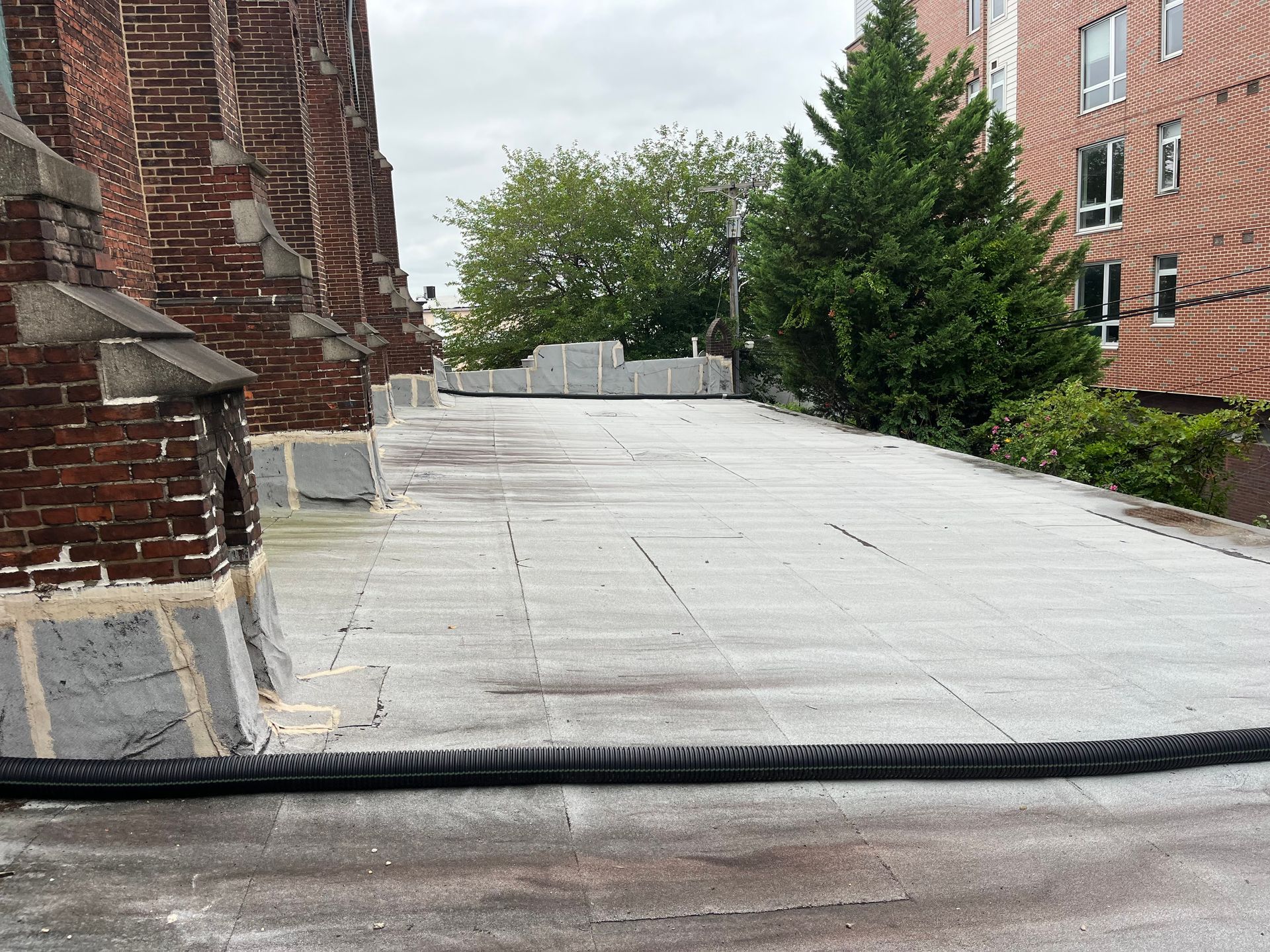 Flat rooftop with dark edging, next to a brick building and greenery.