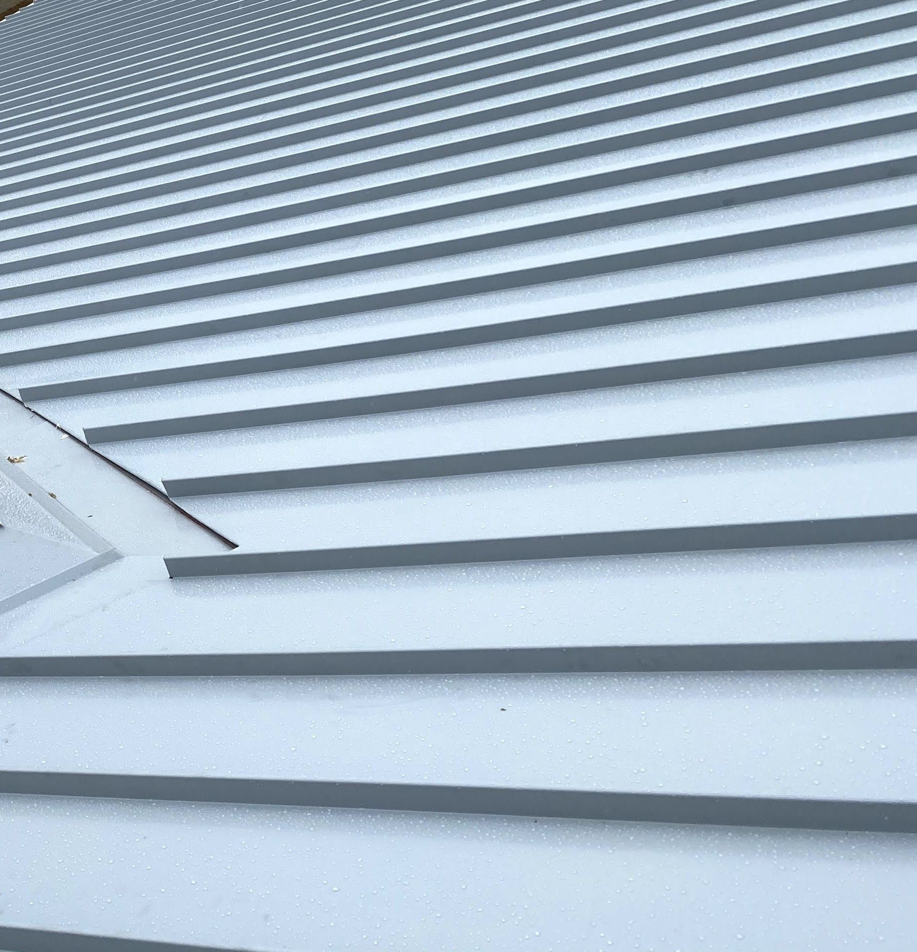 Metal roof with horizontal lines, angled view, overcast lighting.