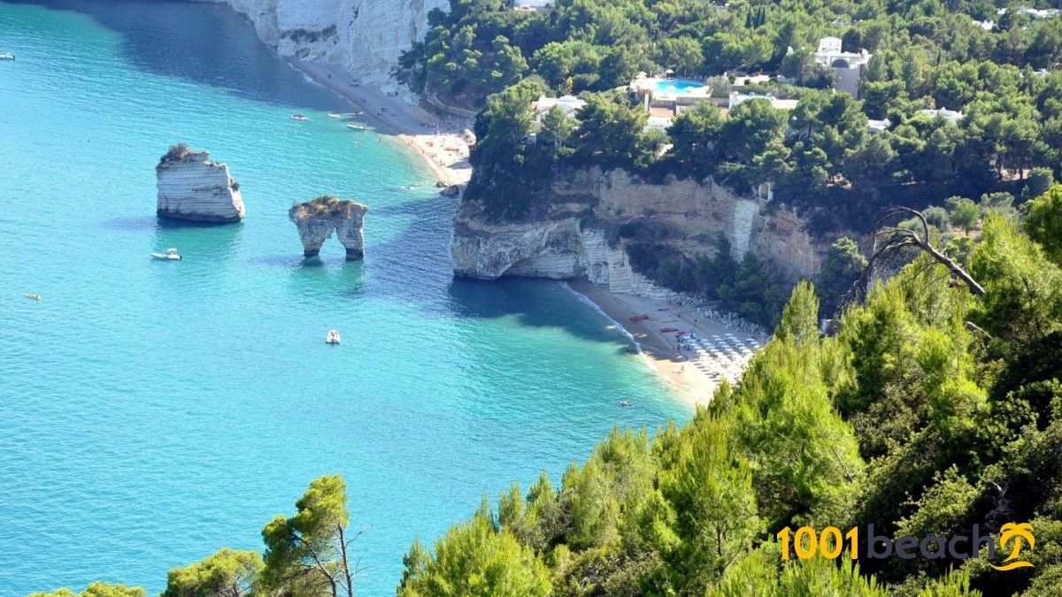 Vignanotica Mattinata