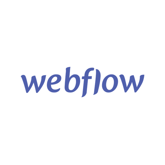 Freelance Webflow Designer based in Charleston, SC
