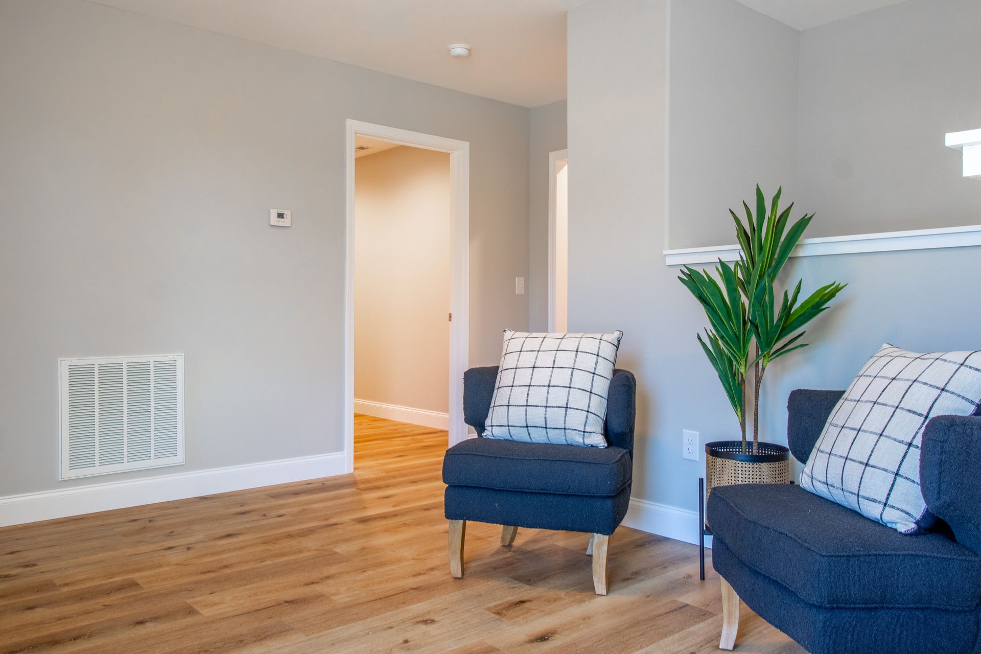 A living room with two chairs and a plant.