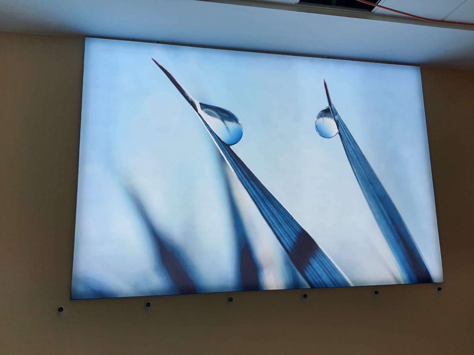 umanizzazione della cura