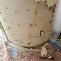 The Importance of Mold Remediation in Hawaii