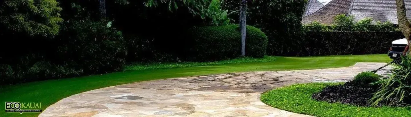 Visible mold on a driveway in a Bellingham, WA residential property