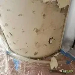 Visible mold patches on a surface
