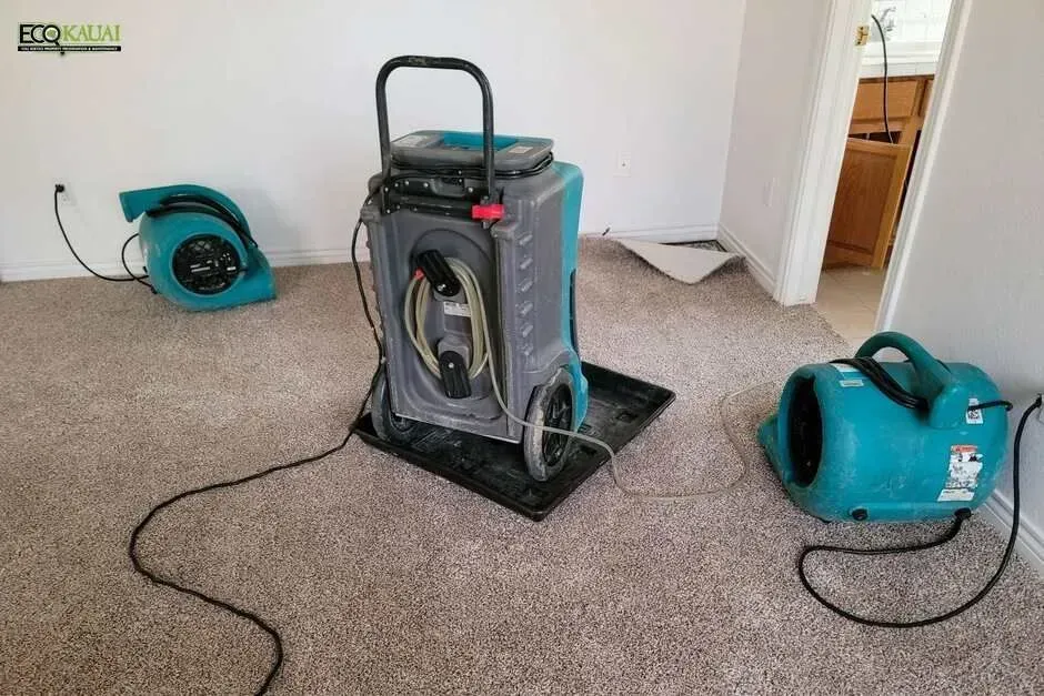Water Damage Restoration in Kaua'i, HI