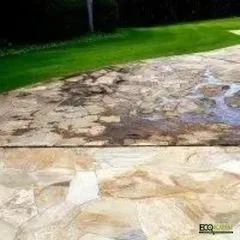 Driveway showing signs of mold infestation