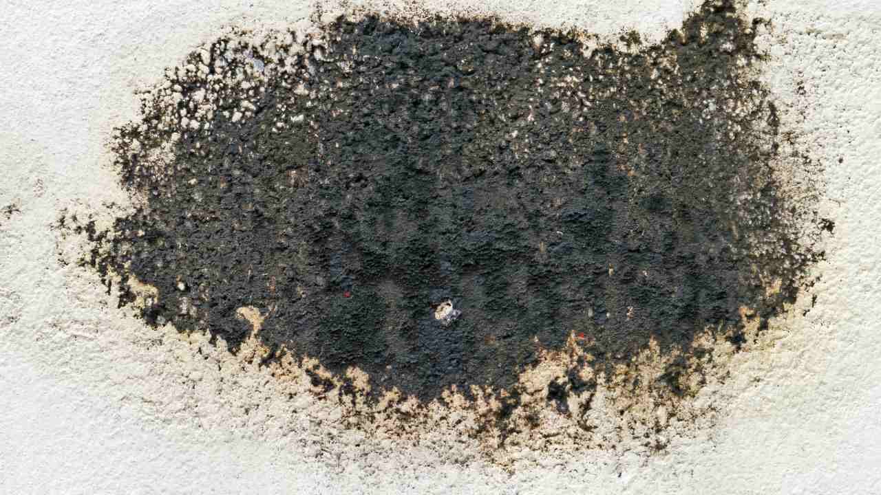 home health hazards