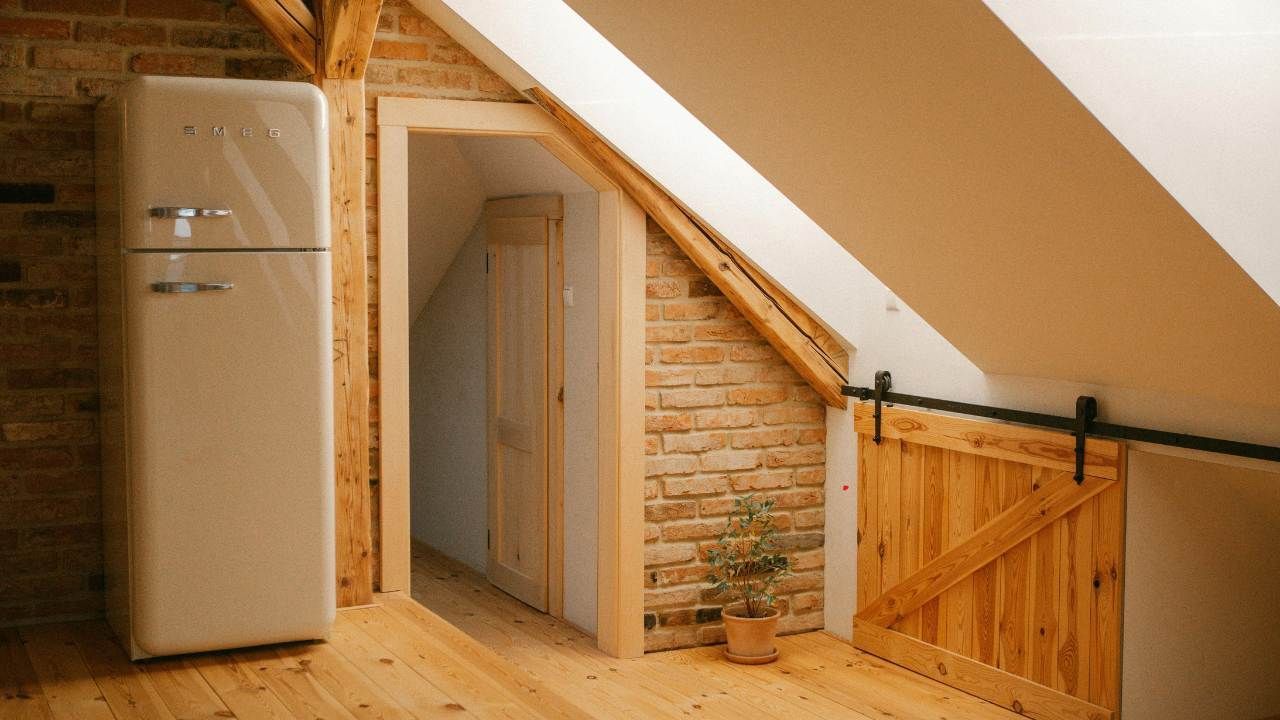 causes of attic mold