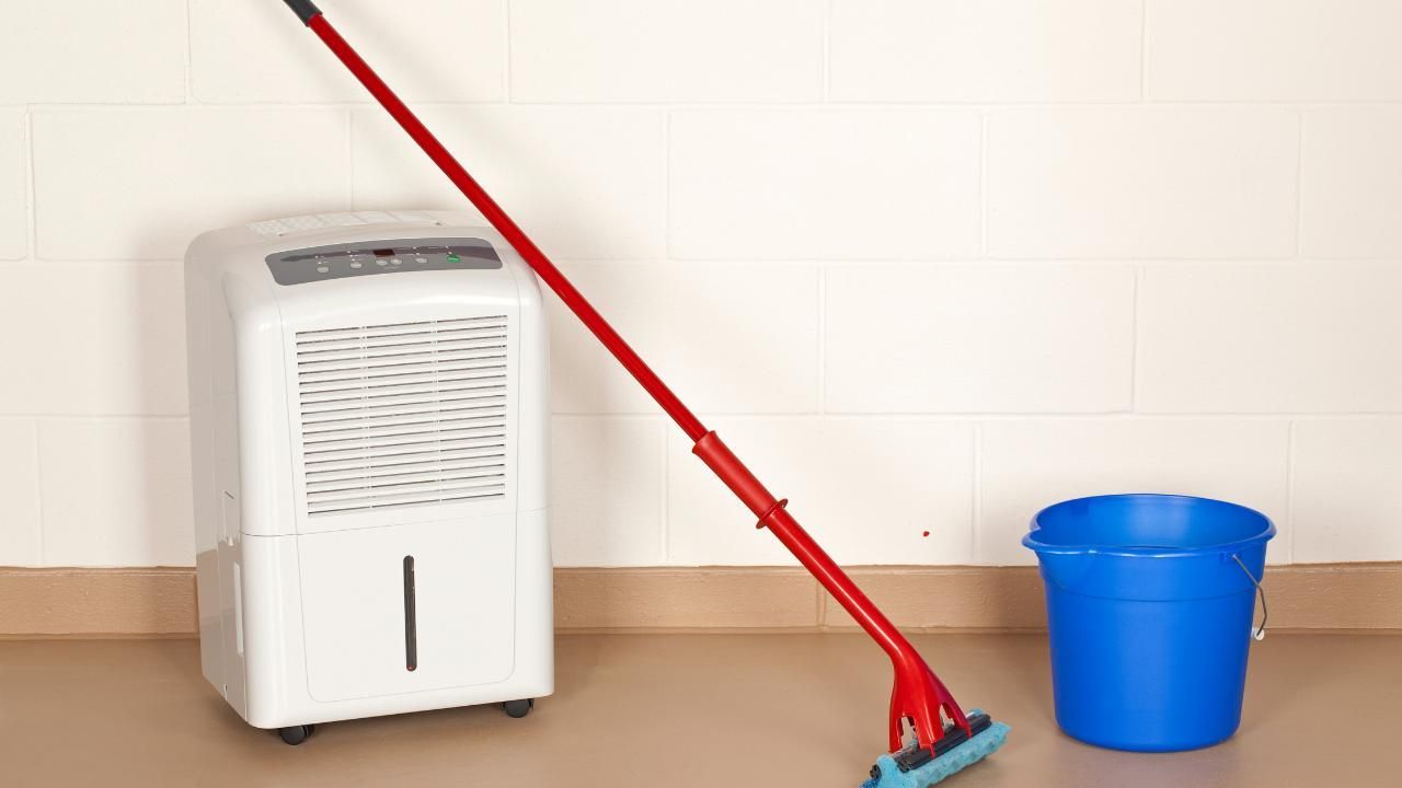 dehumidifiers