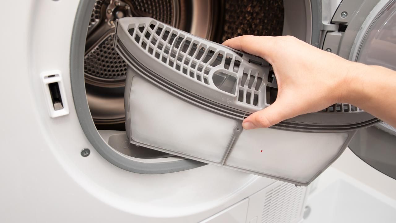 mold prevention