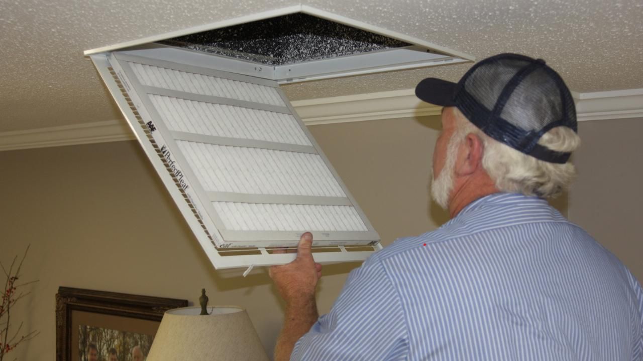 mold detection