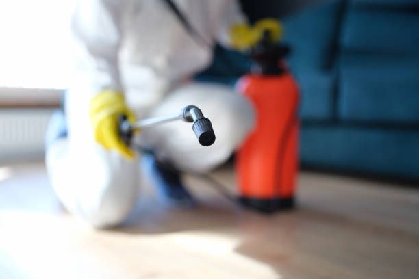 a mold remediation expert performing mold remediation at a property in Hawaii