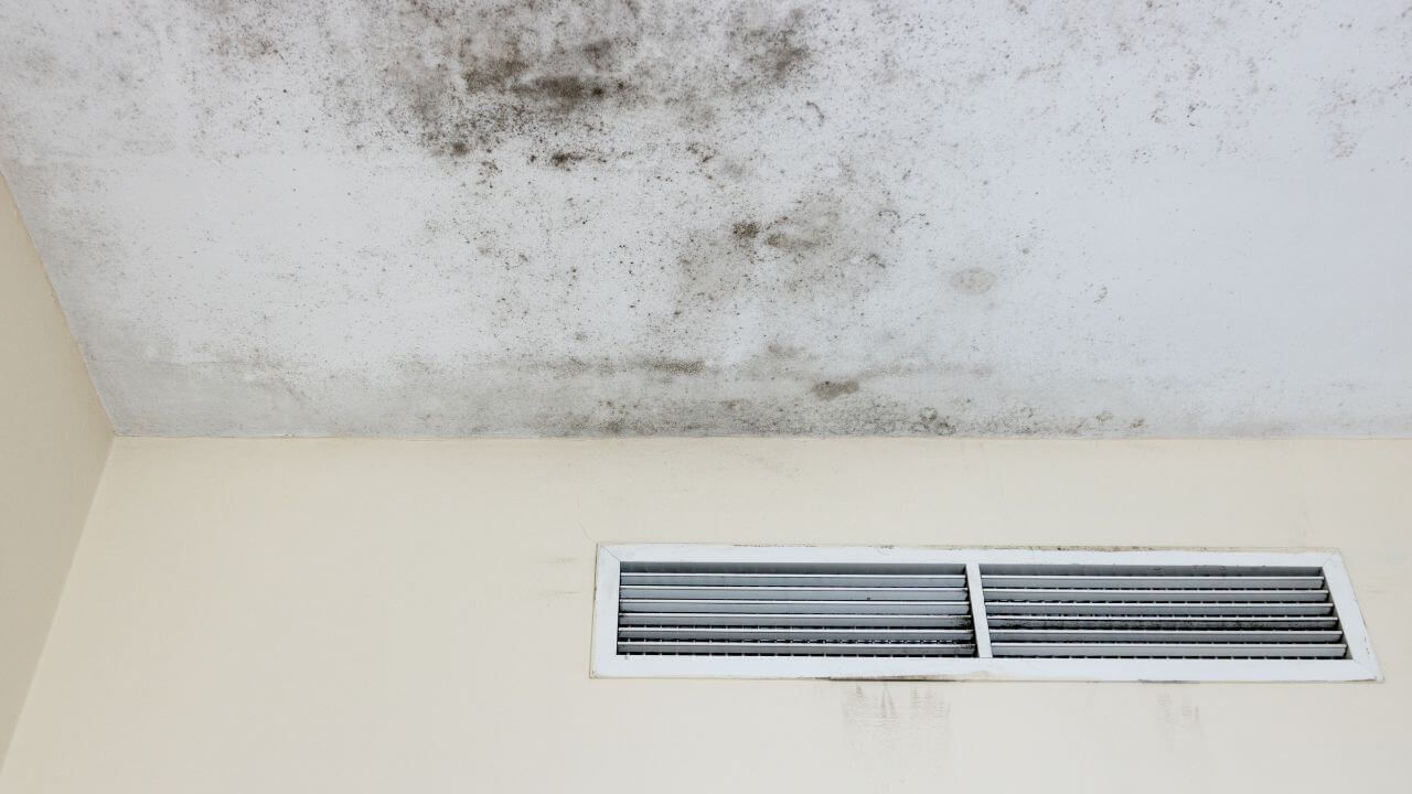 Mold growth on the ceiling of a room.