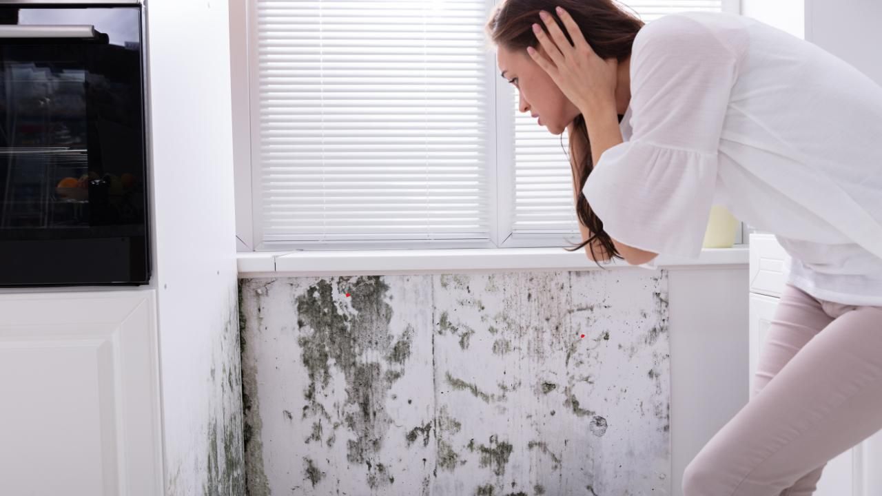 Mold remediation tips