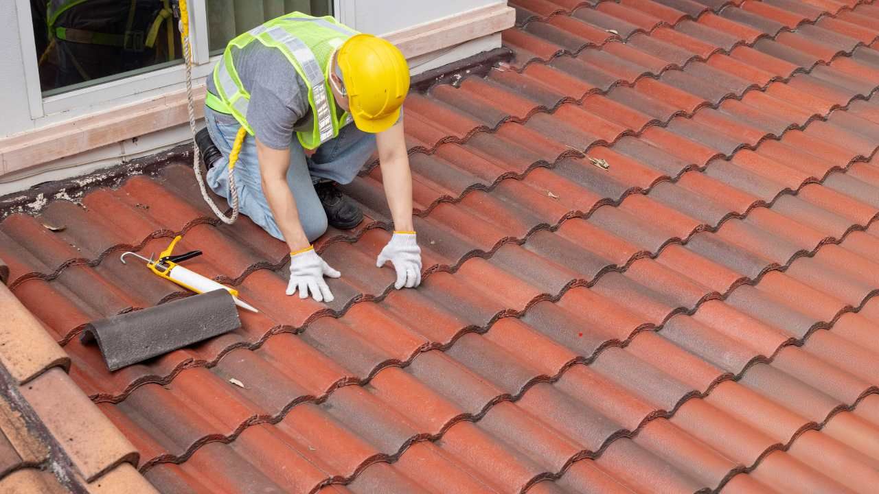 mold prevention tips