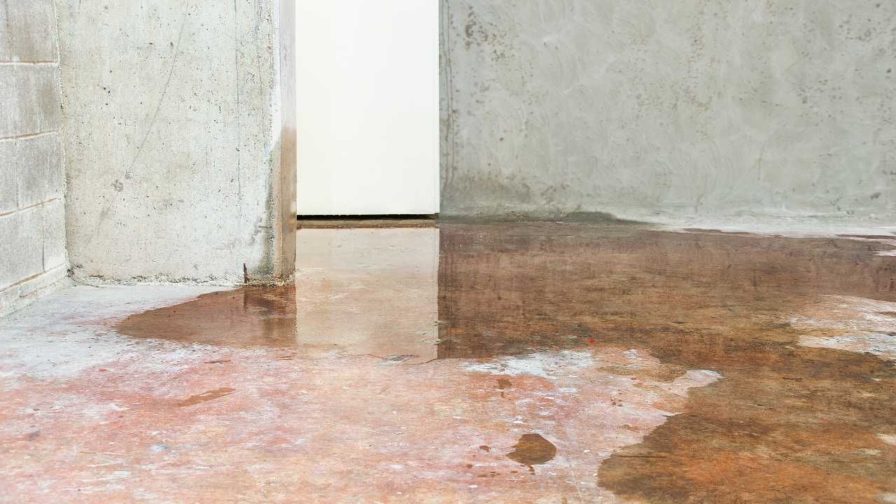 water damage restoration Kauai