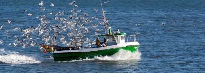 fishing boat