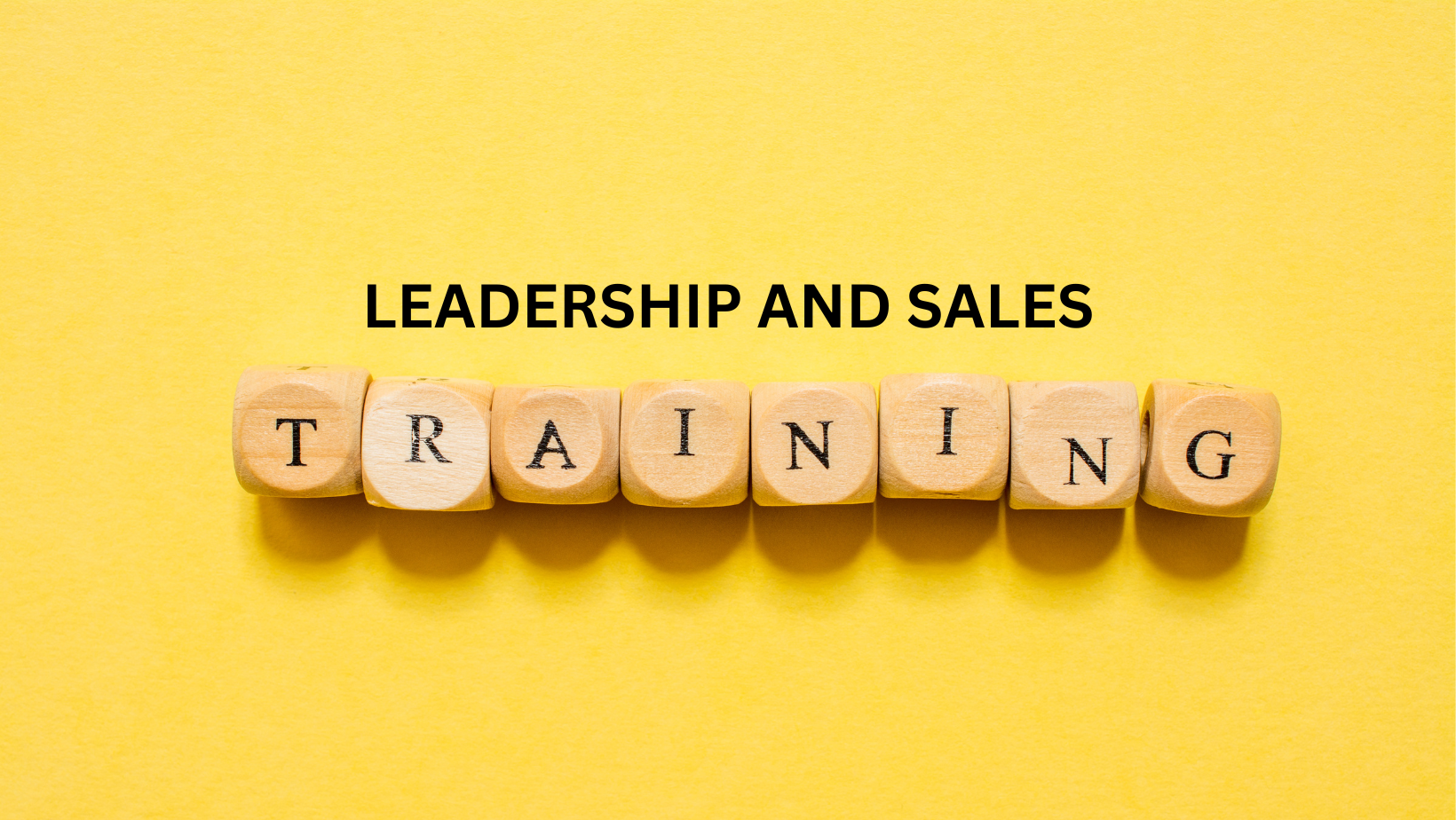 Leadership and Sales Training