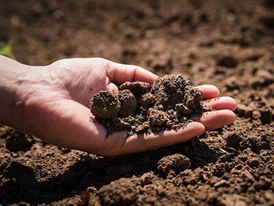 Hand Holding Soil — Soils in Mudgee, NSW
