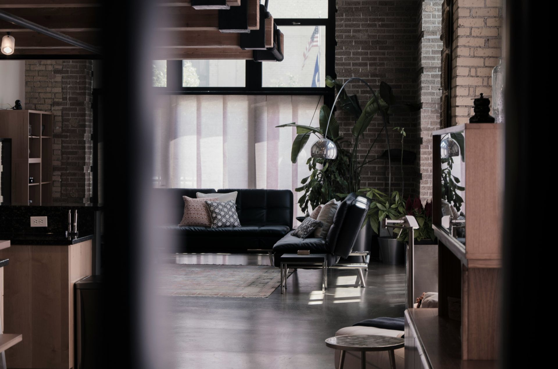 A living room with a couch , chairs , and a plant.