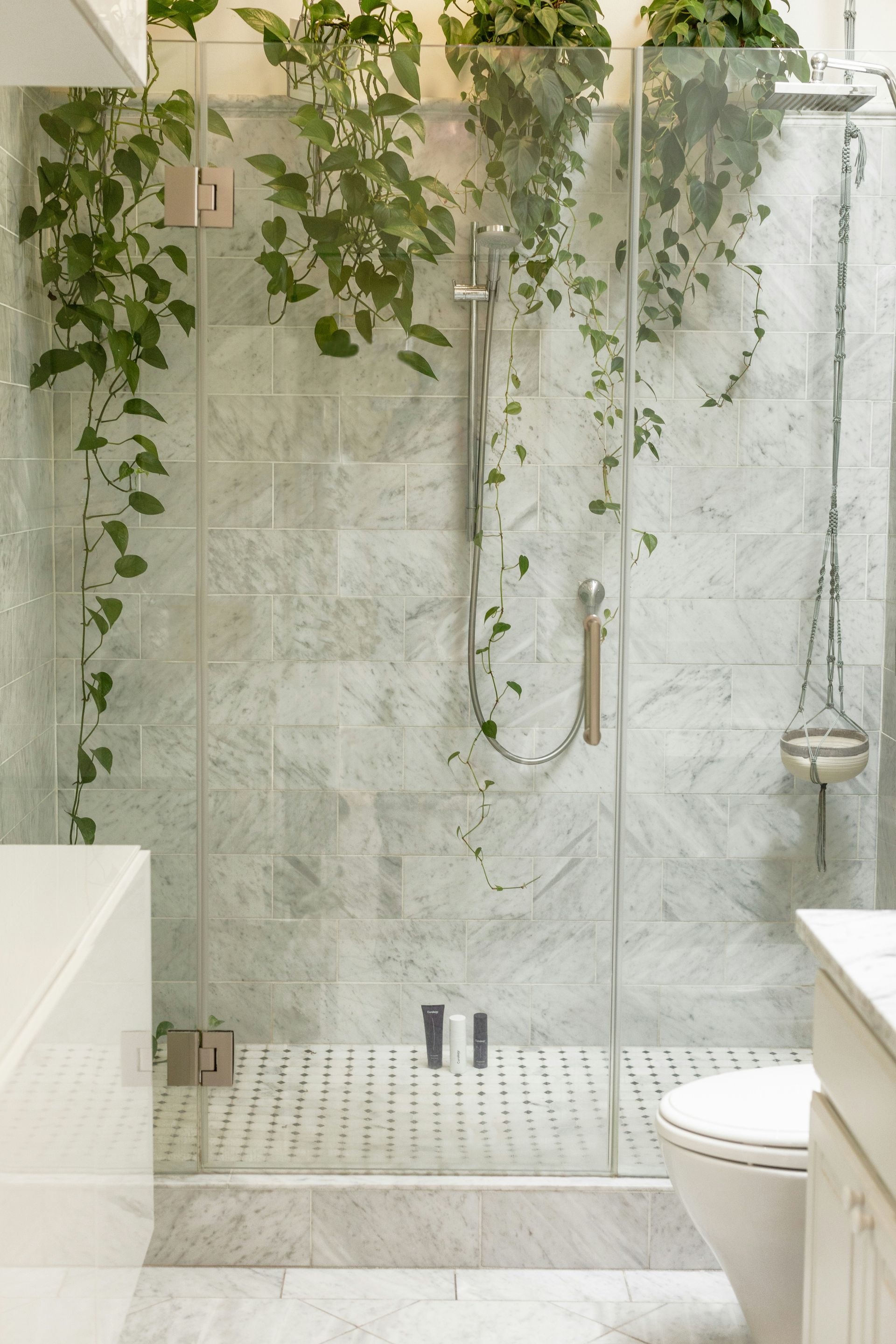 A bathroom with a walk in shower and plants hanging from the walls