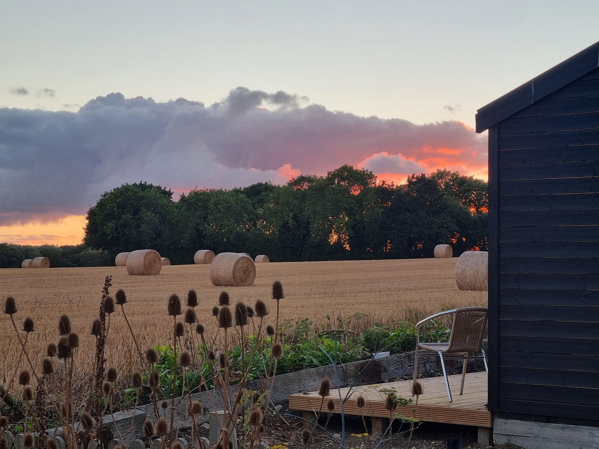 Harvest at Dunnock Studio. 