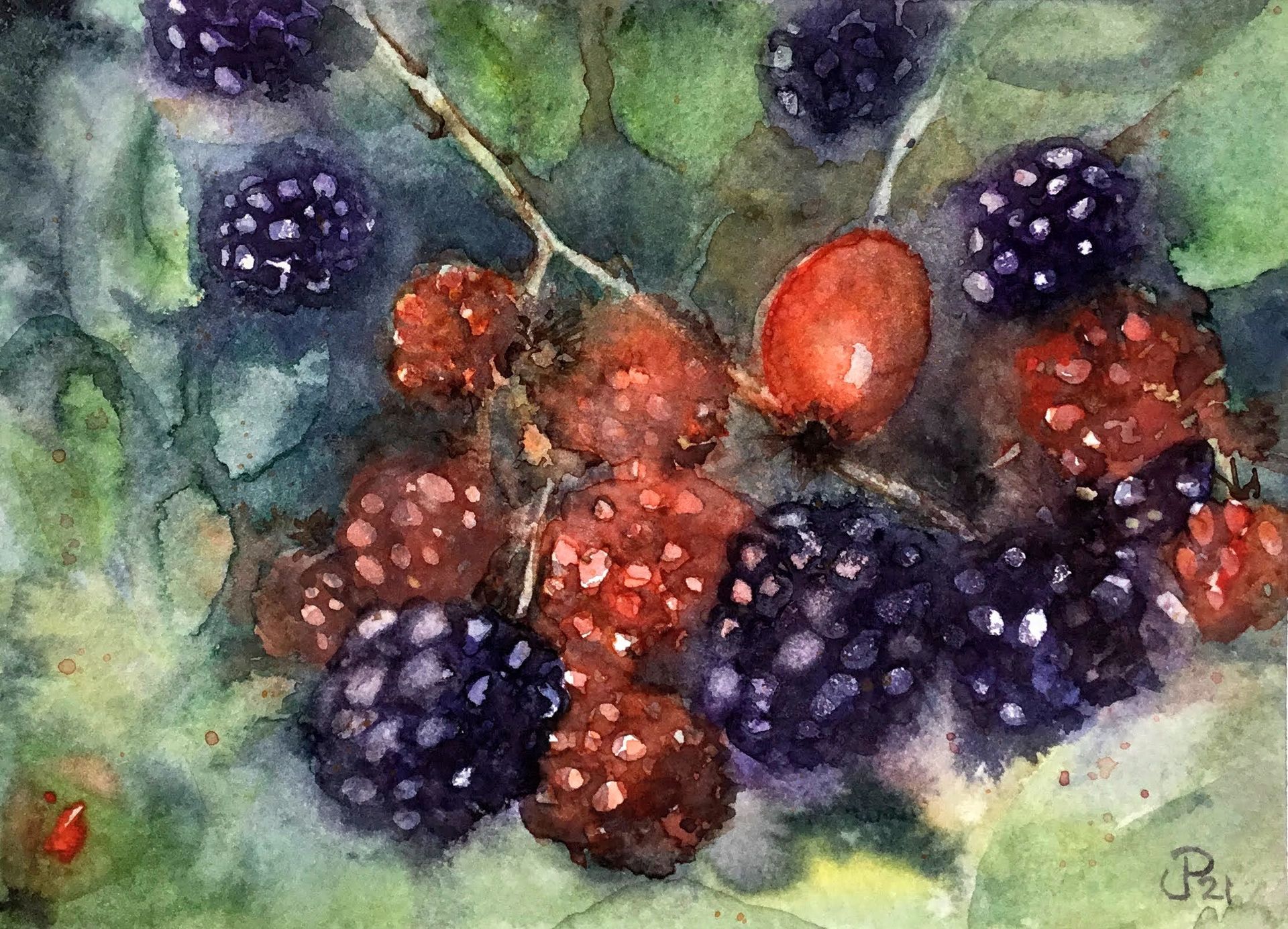 Watercolour blackberries