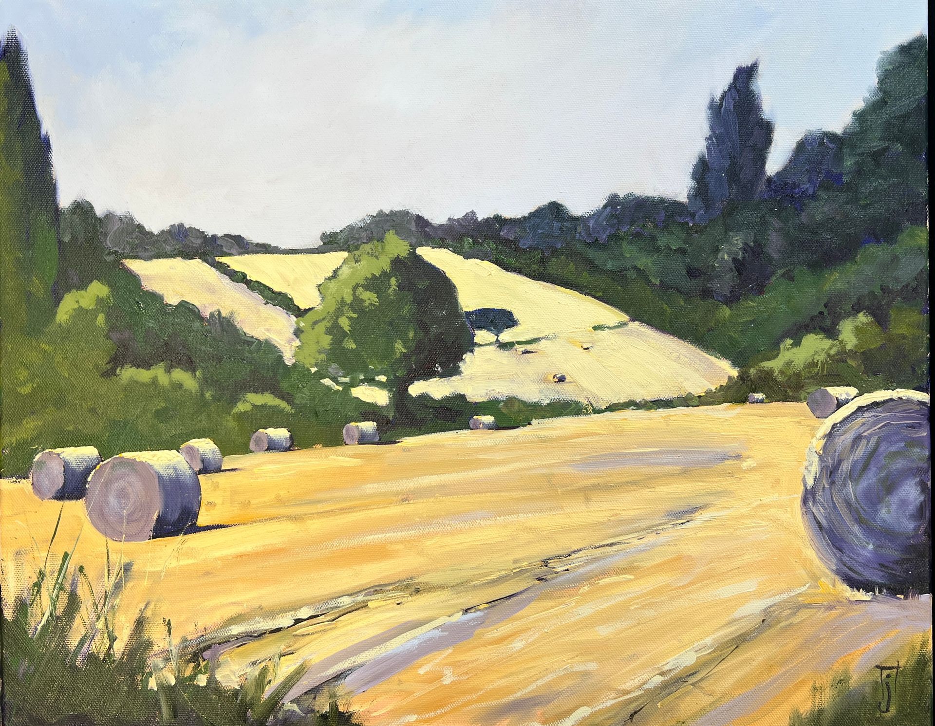 View of a freshly harvested field