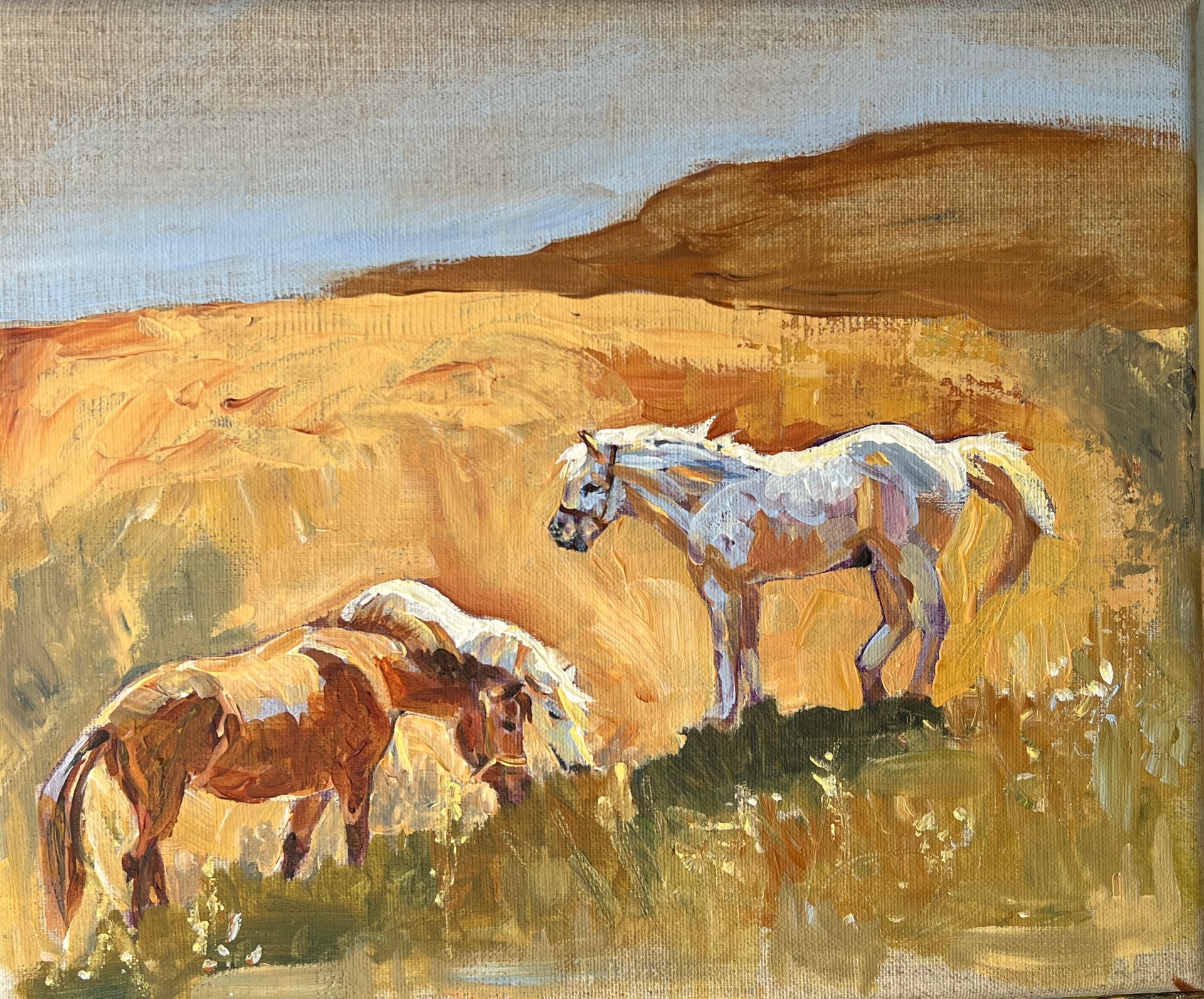 ponies standing at the edge of sandpits in Norfolk.  The bright sunshine and happiness of the ponies contrasts with the history of ponies used down mining pits in history.  These ponies are full of life and content in the sunshine. 