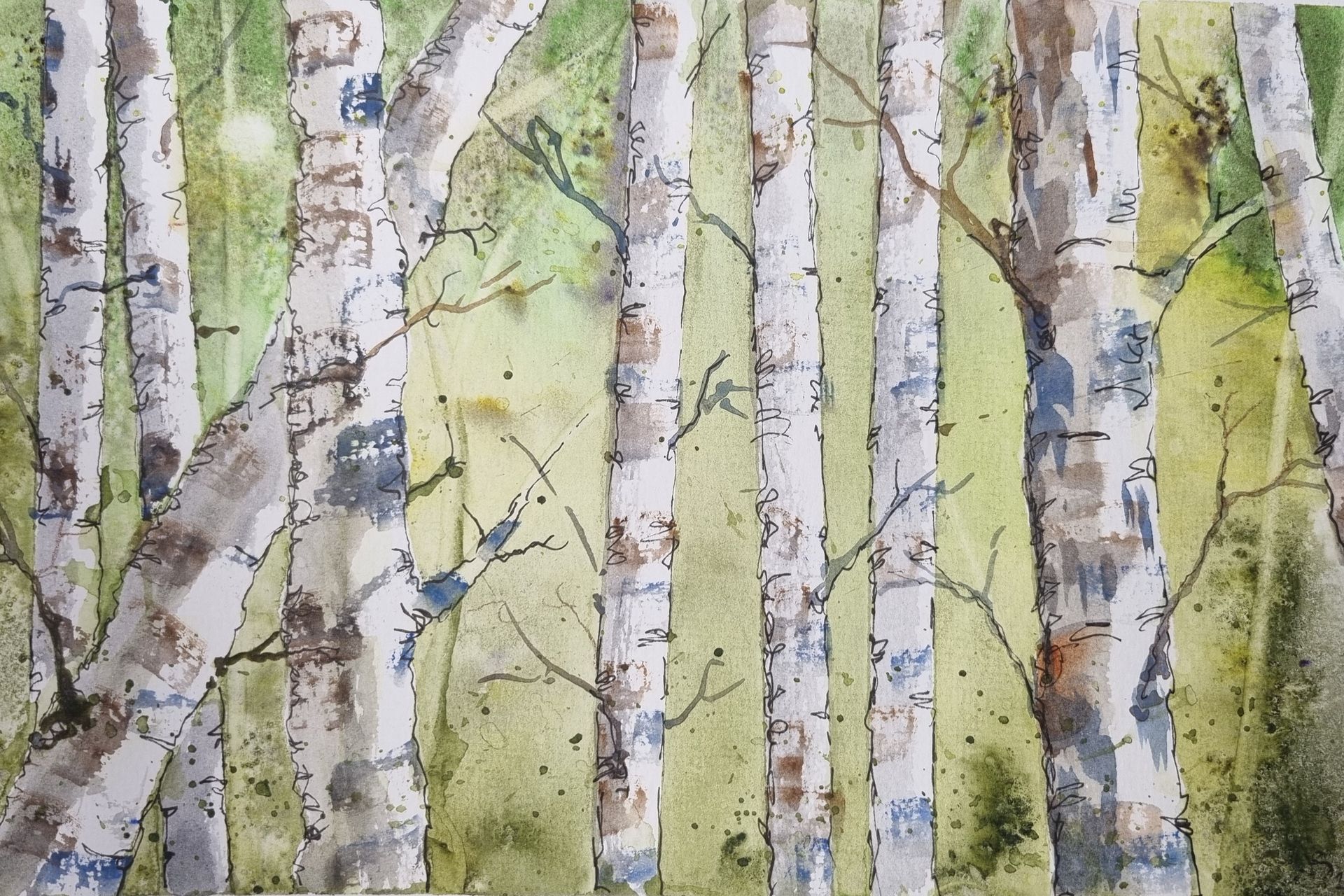 Silver birch in a wood