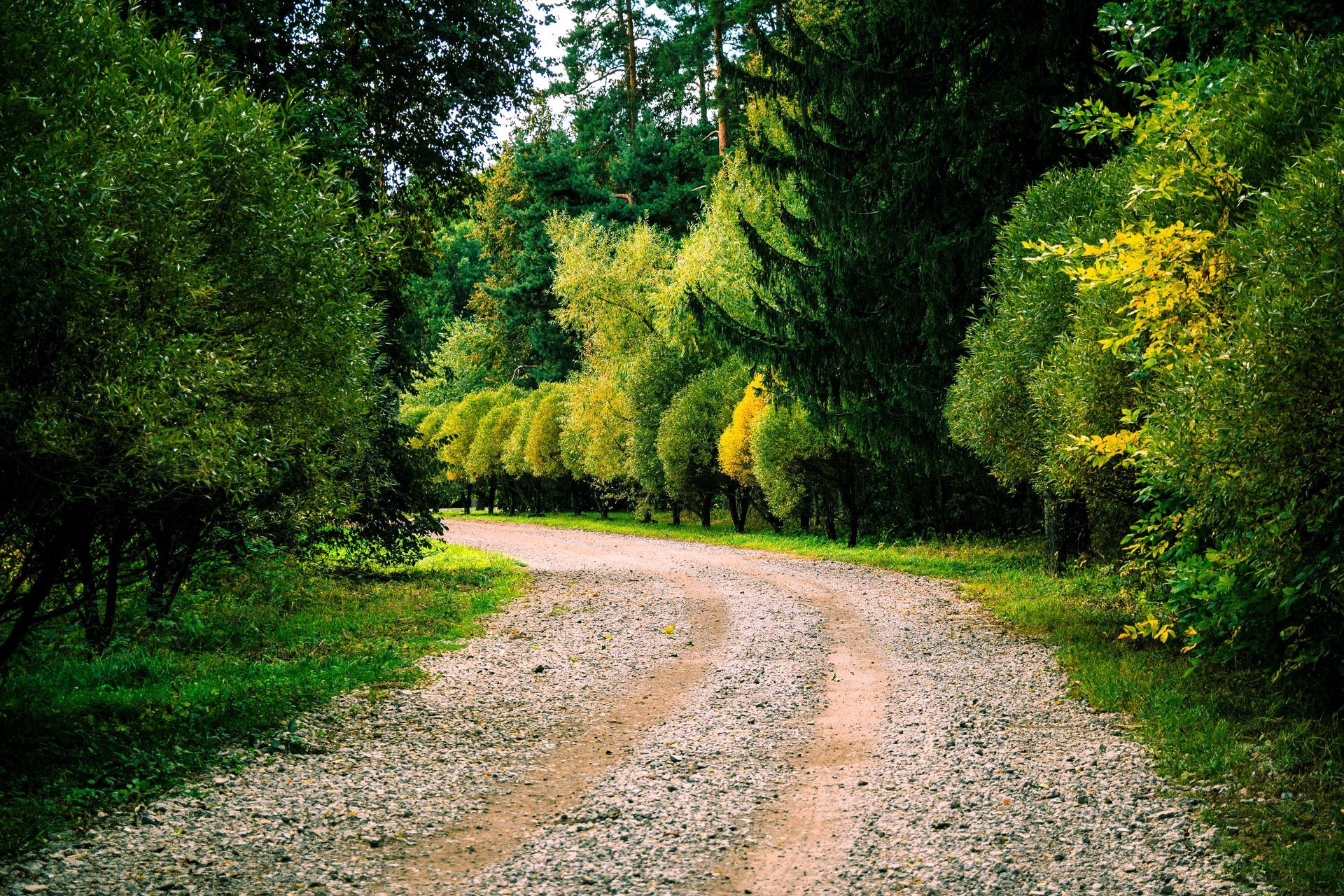 Gravel driveway with green plants, blending naturally into the landscape