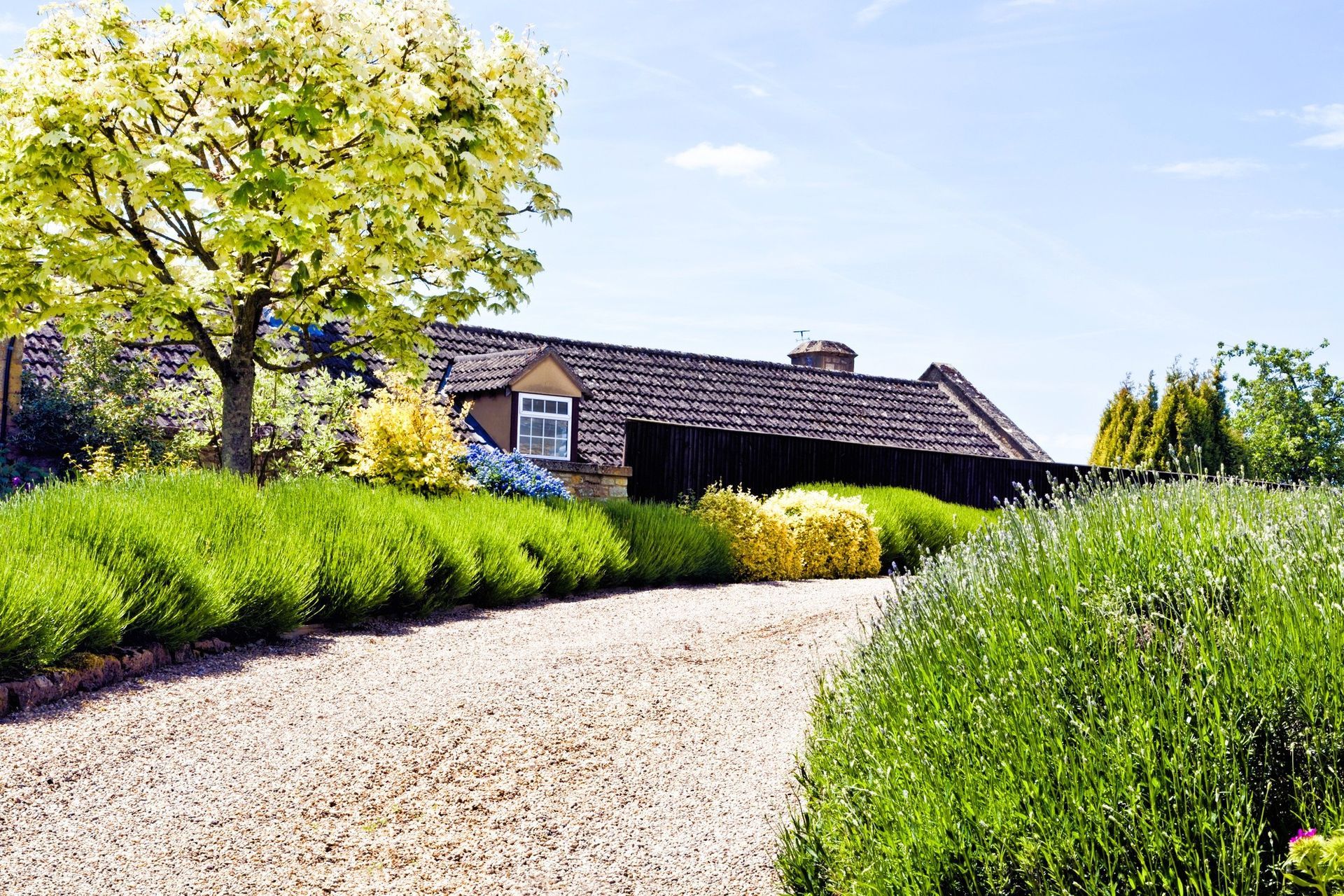 A charming cottage with a vibrant garden and gravel driveway under a sunny sky.