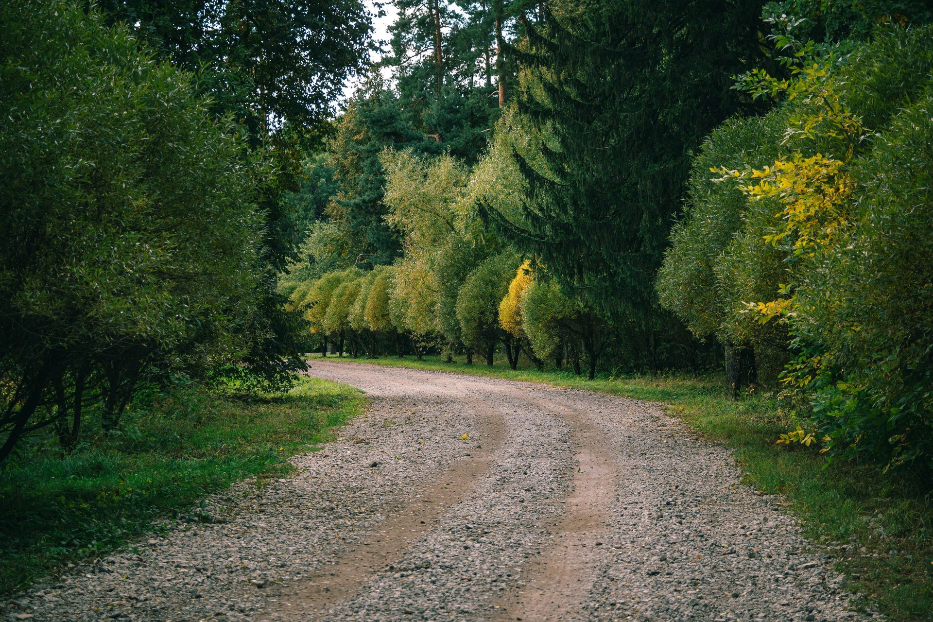 Scenic gravel driveway in Marion, IL home.