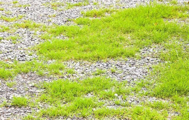 How to Fix a Gravel Driveway Overgrown With Grass: Easy Steps