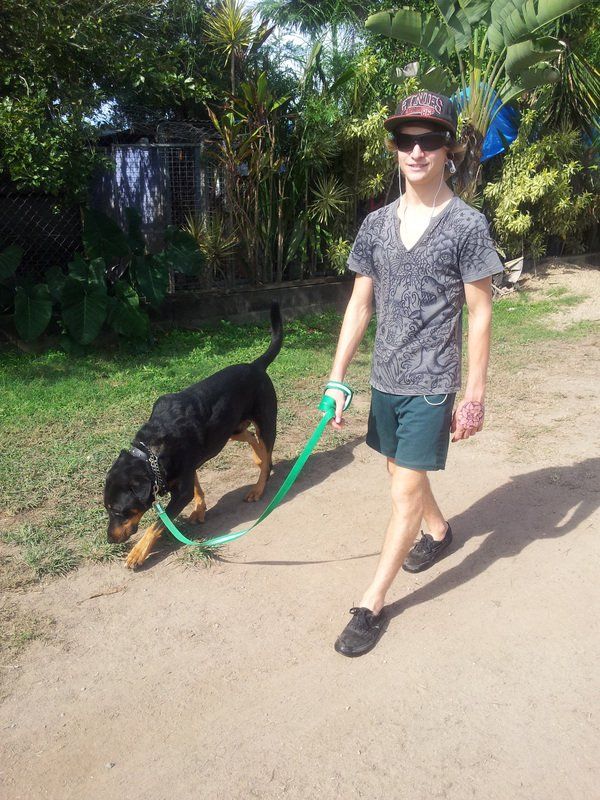 A man is walking a dog on a leash