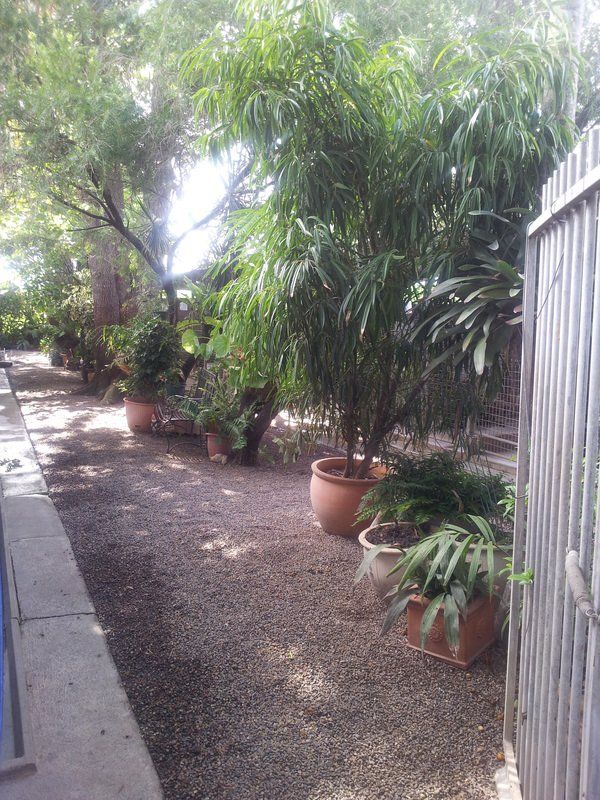 A fenced in yard with lots of potted plants and trees