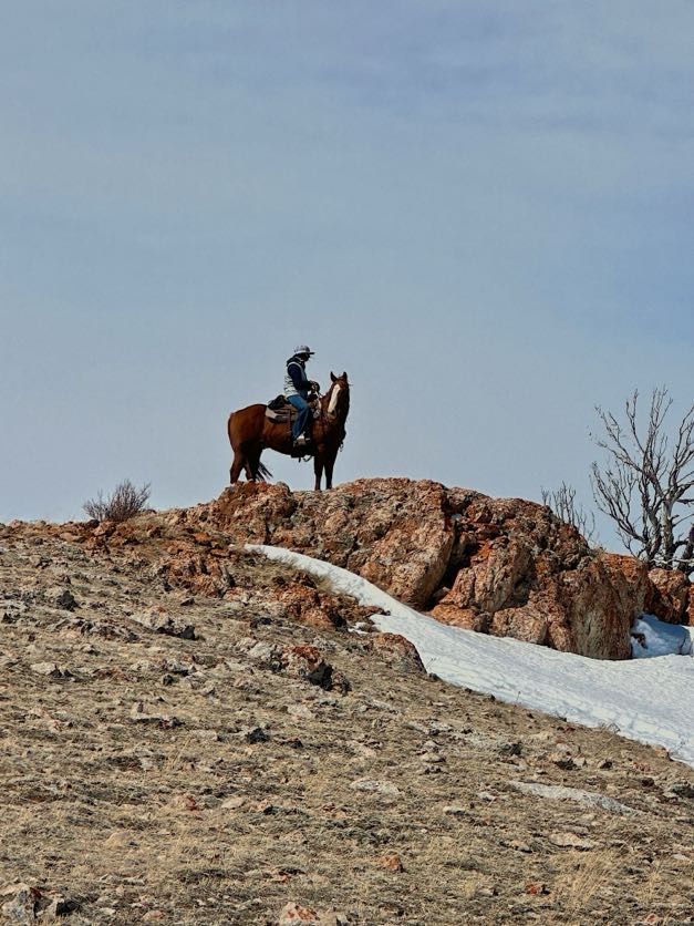 Cowboy on horseback atop a rocky hill with snow. Blue sky.