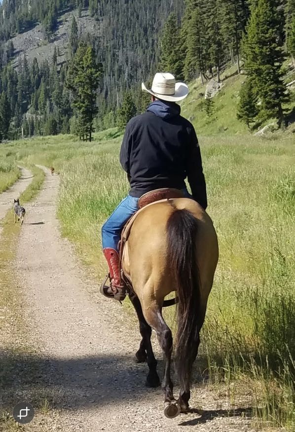 Cowboy on a tan horse rides on a dirt trail in a green mountain landscape.