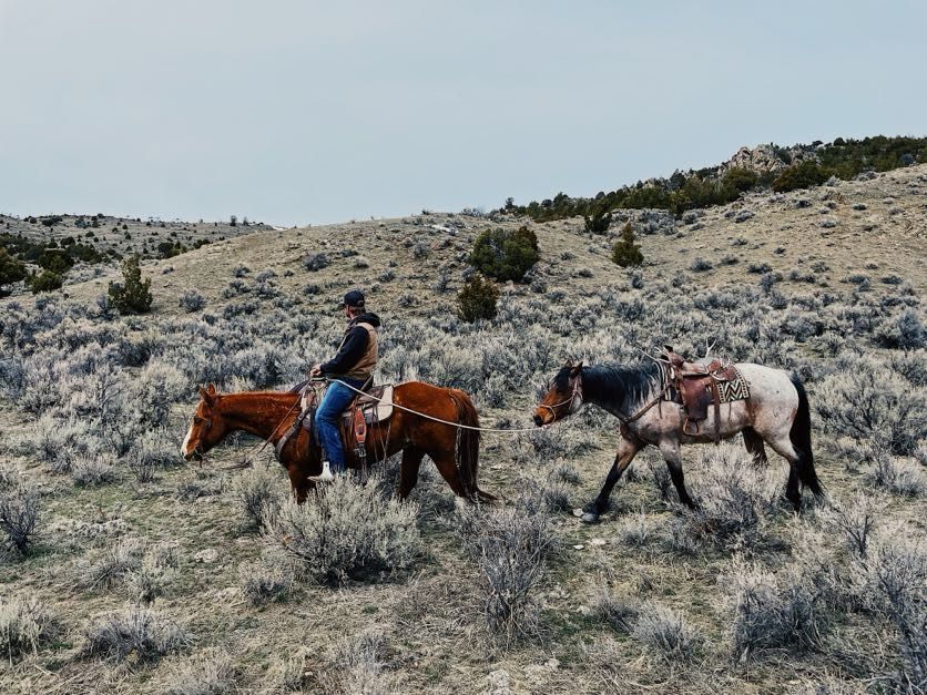 A person on horseback leads a horse in a grassy, mountainous landscape.
