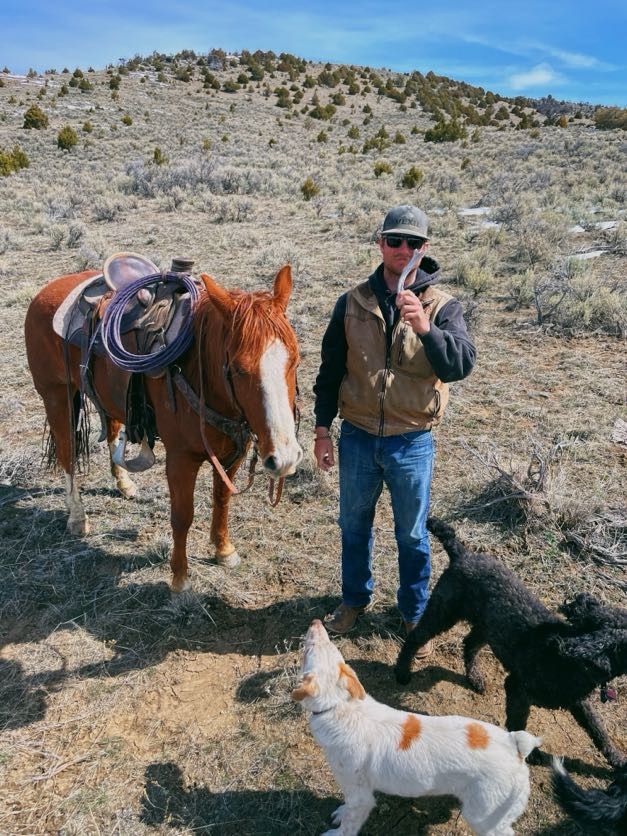 Man holding camera stands with horse and two dogs in a dry, mountainous landscape.