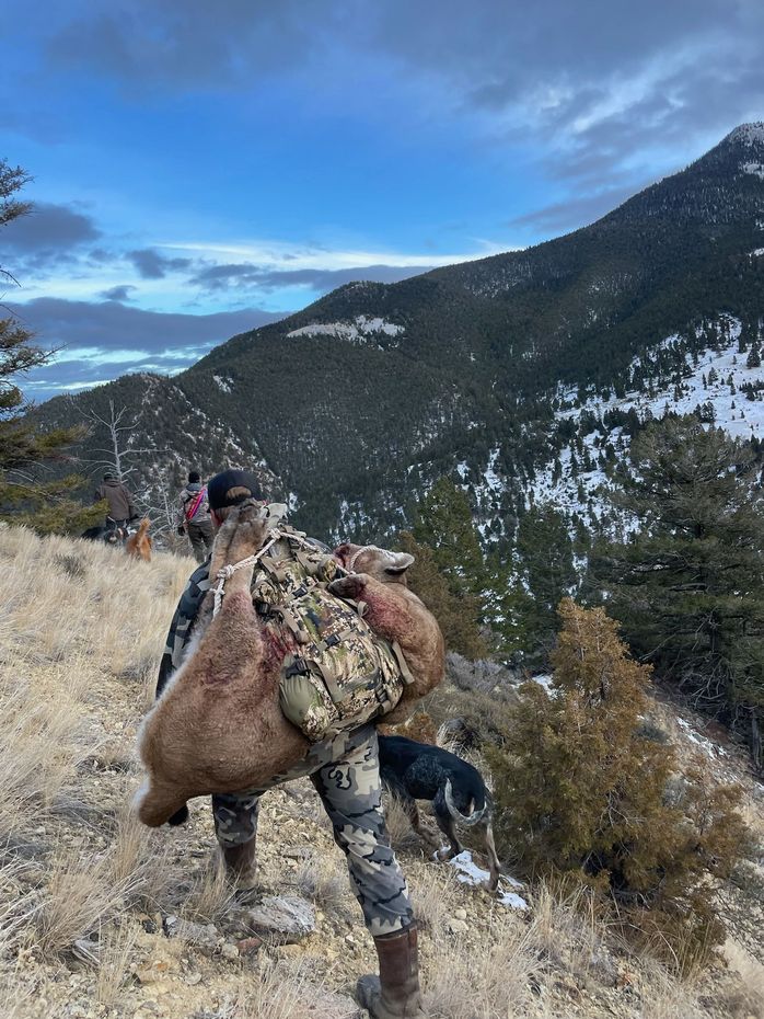 Hunter carrying game on a mountain trail, camouflaged gear, blue sky, snowy peaks.