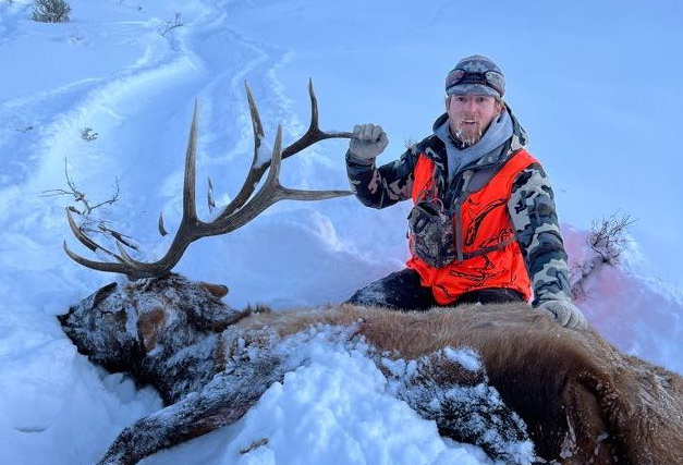 Hunter kneels in snow next to a large elk, wearing a blaze orange vest.
