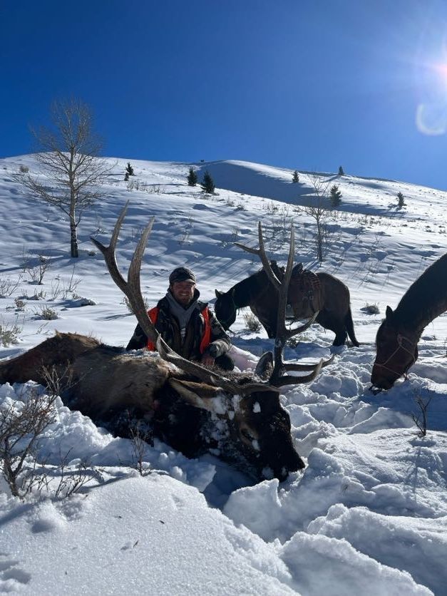 Hunter kneels by a dead elk in snow with horses on a sunny, snowy mountain.