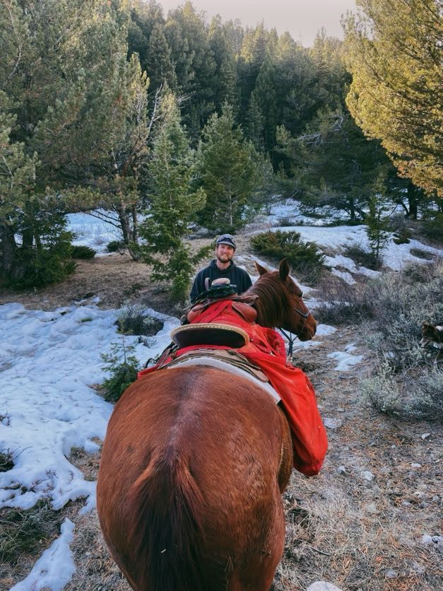 A man rides a brown horse on a snowy path through a forest. The horse has a red cover.