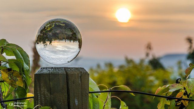 Les prévisions 2019 de WSI en marketing digital
